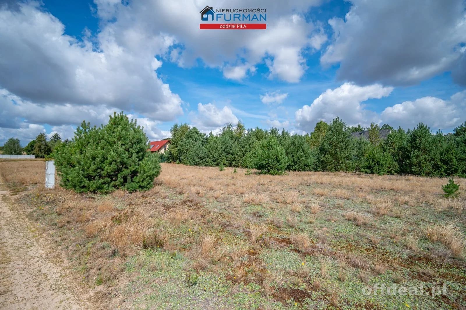 terrain à vendre à Kłoda | 1 859 m²