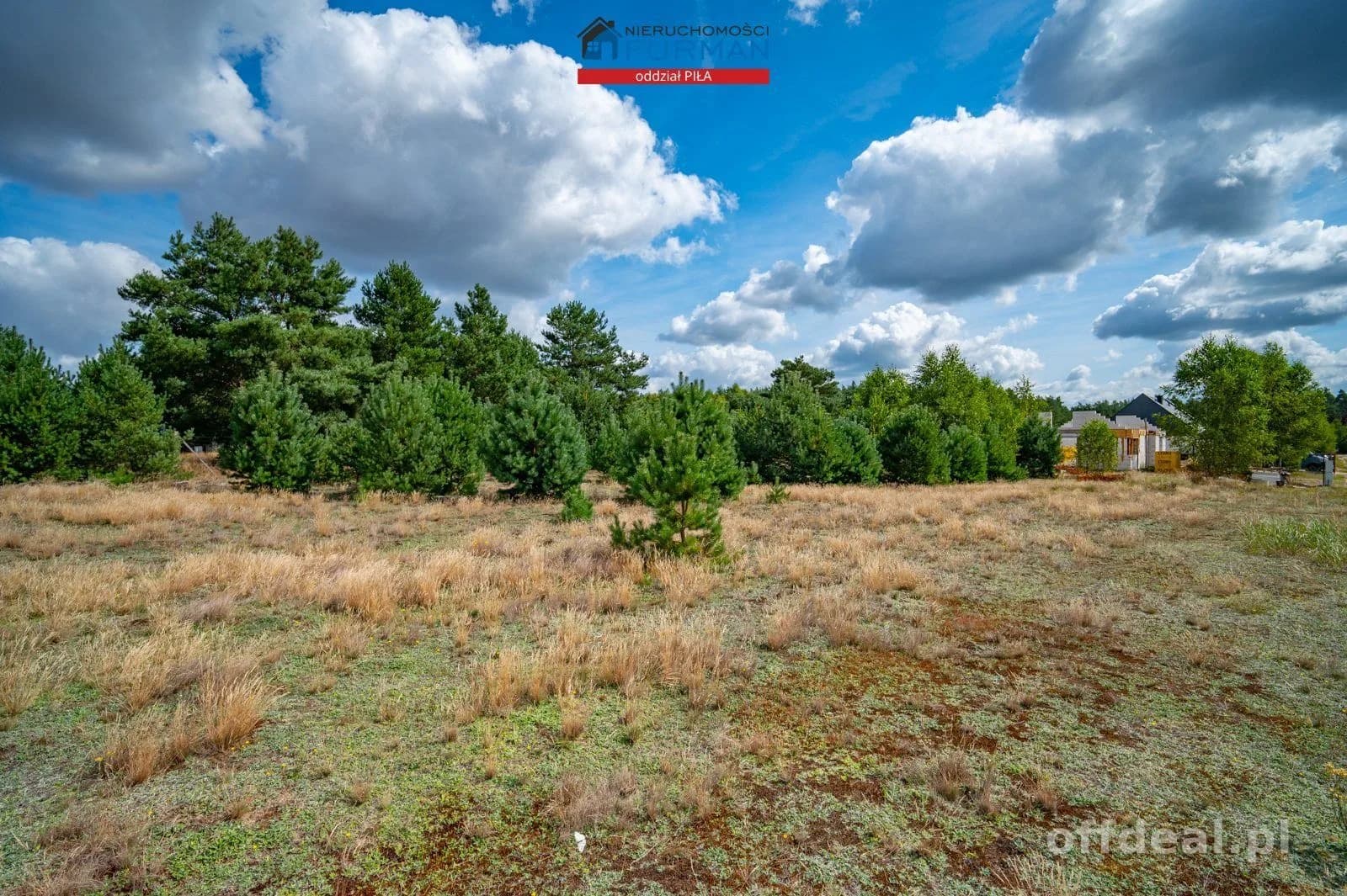 terrain à vendre à Kłoda | 1 859 m²