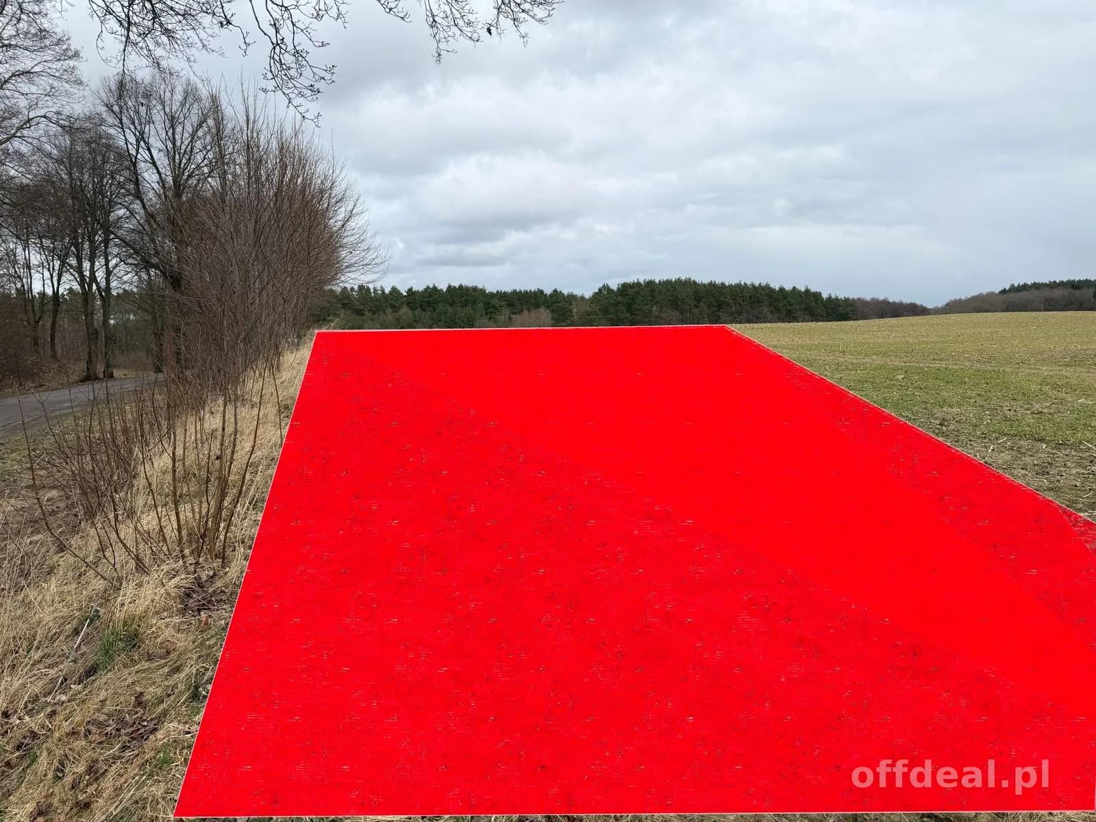 Grundstück zum Verkauf in Białokury | 19.973 m²