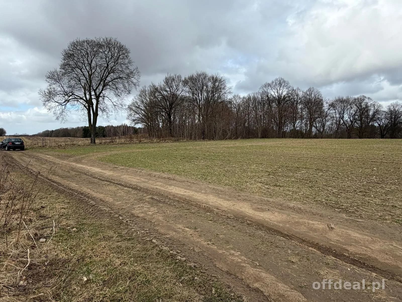 Grundstück zum Verkauf in Białokury | 19.973 m²