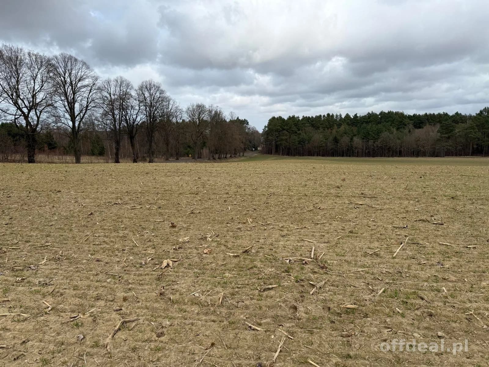 Grundstück zum Verkauf in Białokury | 19.973 m²