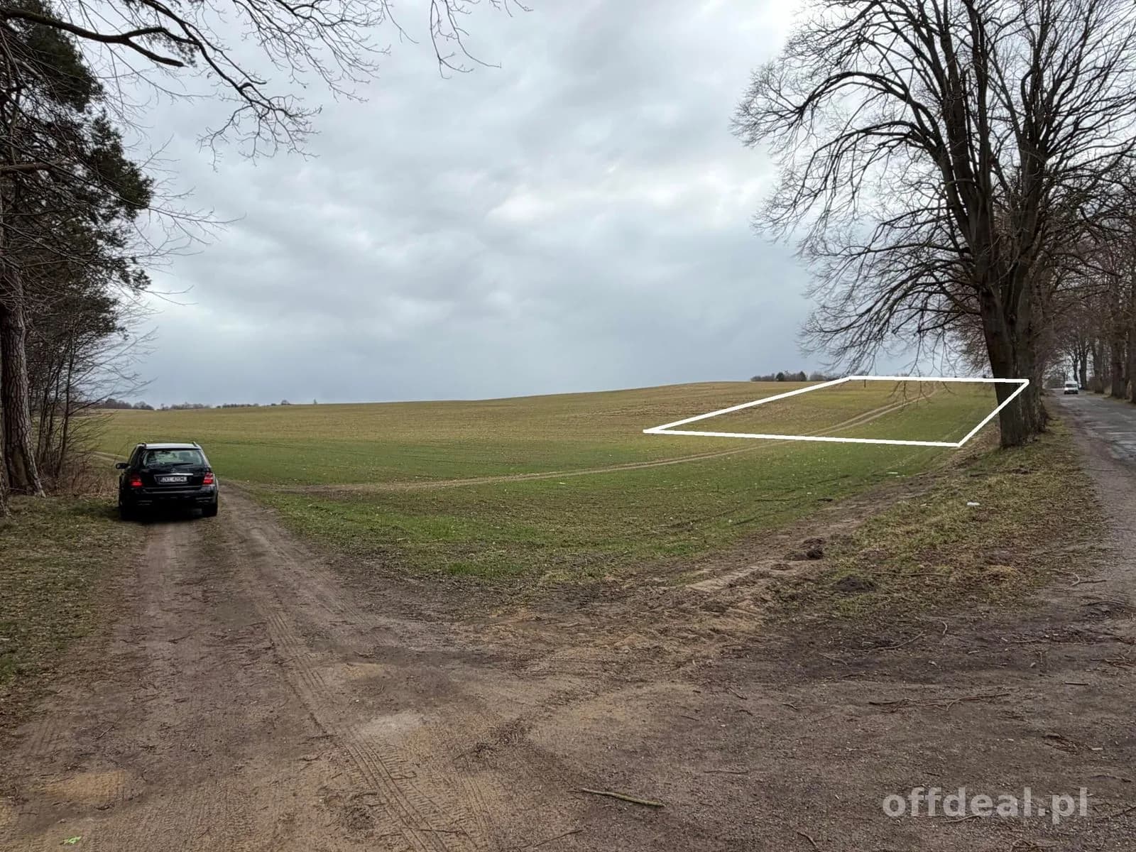 Grundstück zum Verkauf in Białokury | 19.973 m²