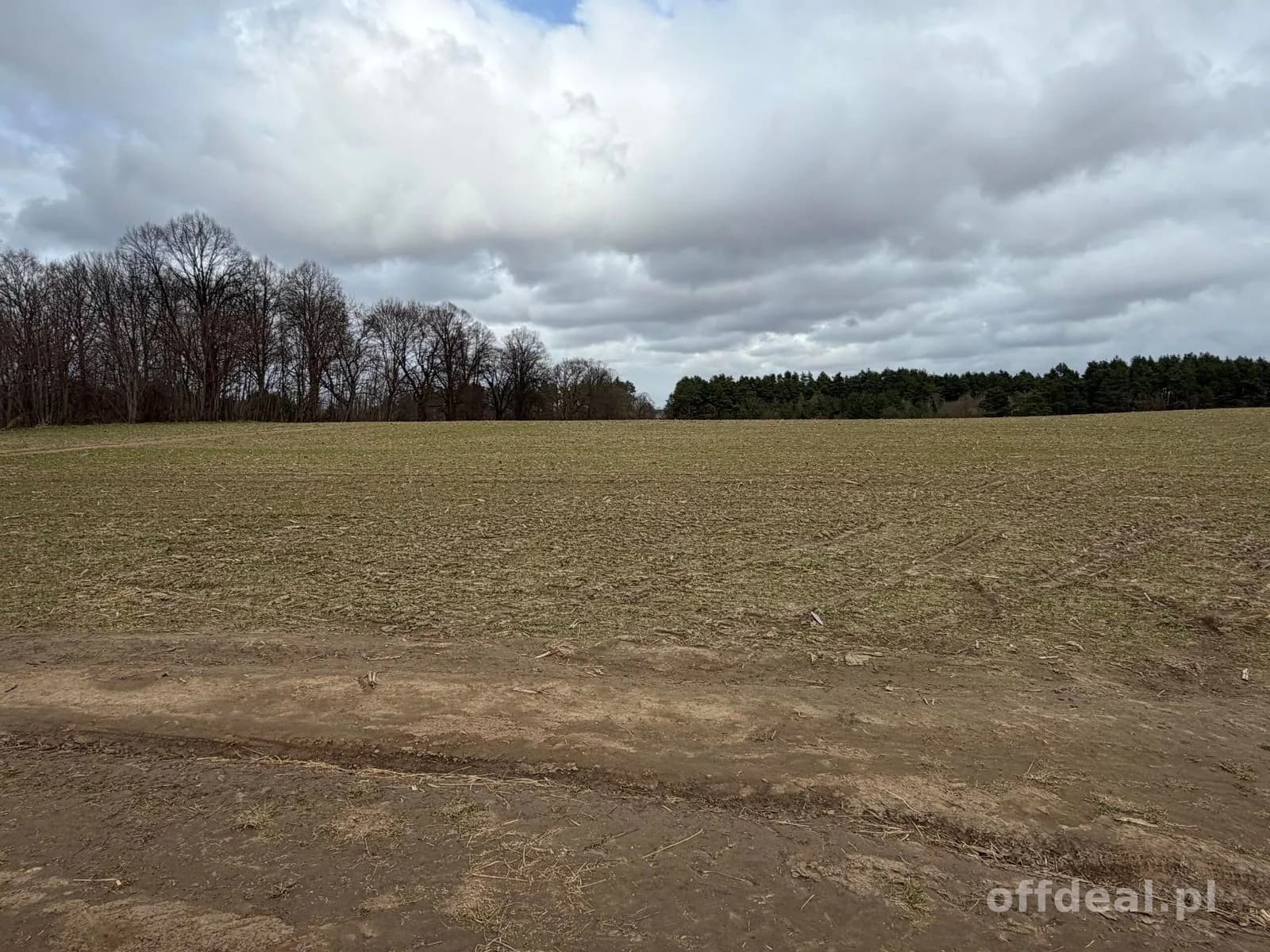 Grundstück zum Verkauf in Białokury | 19.973 m²