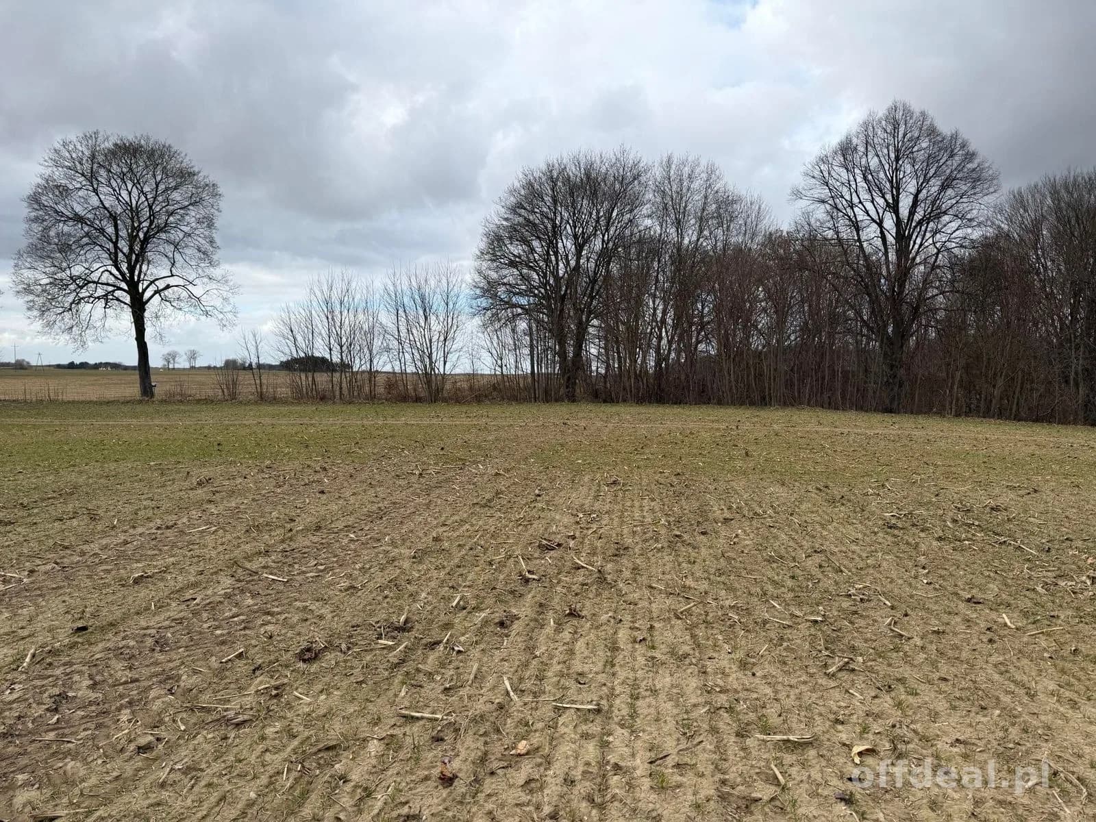 Grundstück zum Verkauf in Białokury | 19.973 m²