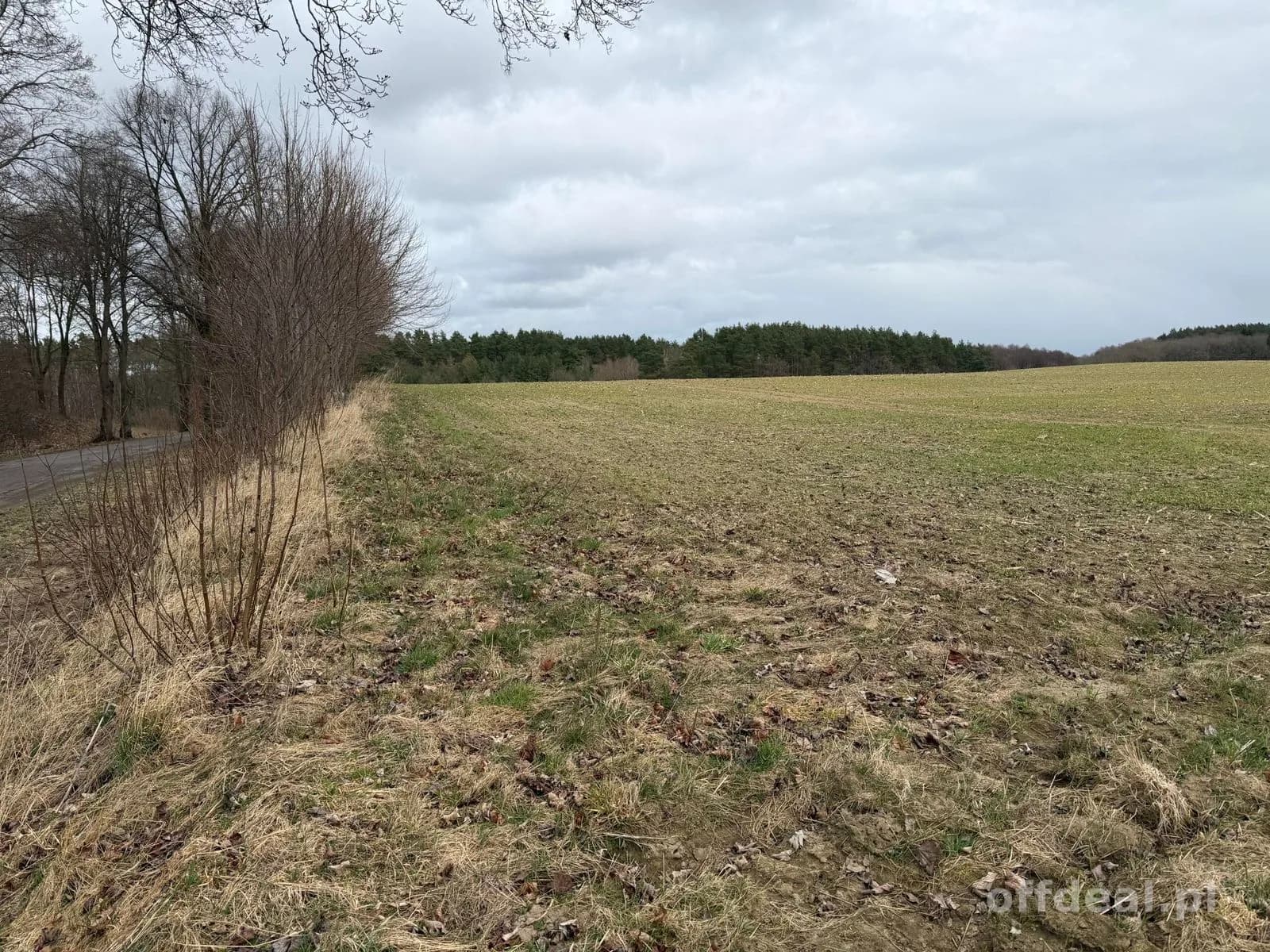 Grundstück zum Verkauf in Białokury | 19.973 m²