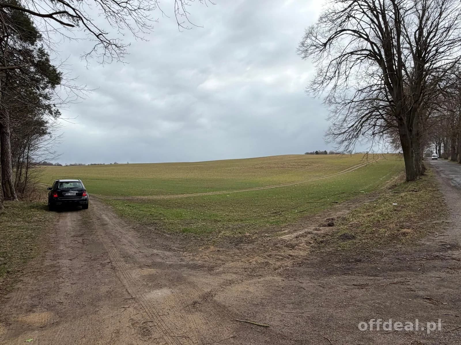 Grundstück zum Verkauf in Białokury | 19.973 m²