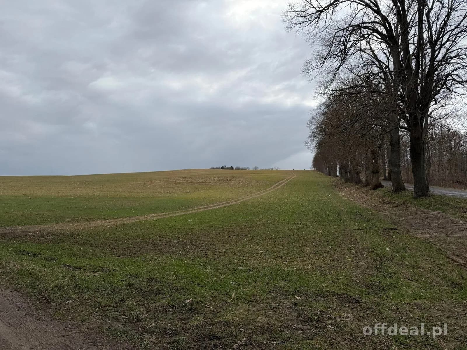 Grundstück zum Verkauf in Białokury | 19.973 m²