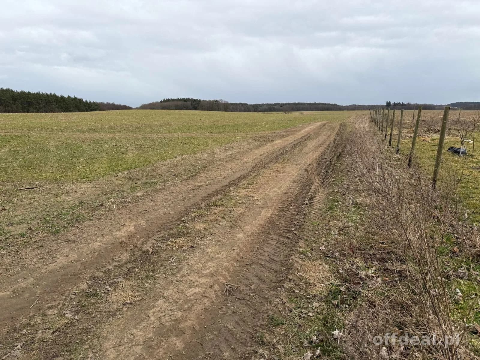 Grundstück zum Verkauf in Białokury | 19.973 m²