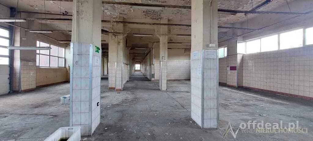 Gewerbeimmobilie zur Miete in Oborniki Śląskie | 1.200 m²