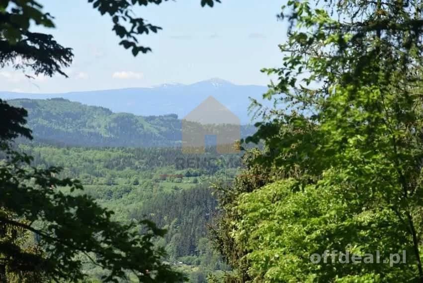 plot for sale in Wałbrzych, Rusinowa | 6,871 m²