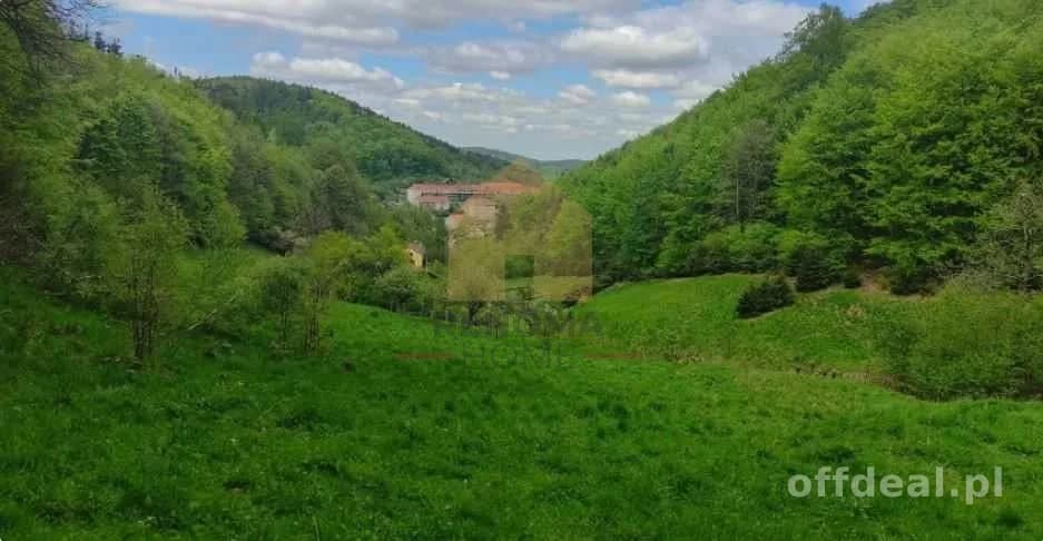 plot for sale in Wałbrzych, Rusinowa | 6,871 m²