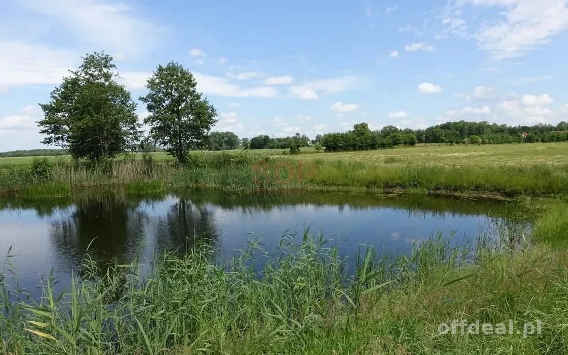 Kal / Jezioro Mamry | 1,42 ha z linią brzegową | działka inwestycyjna