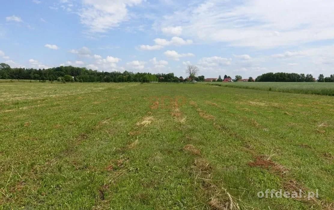 Kal / Jezioro Mamry | 1,42 ha z linią brzegową | działka inwestycyjna