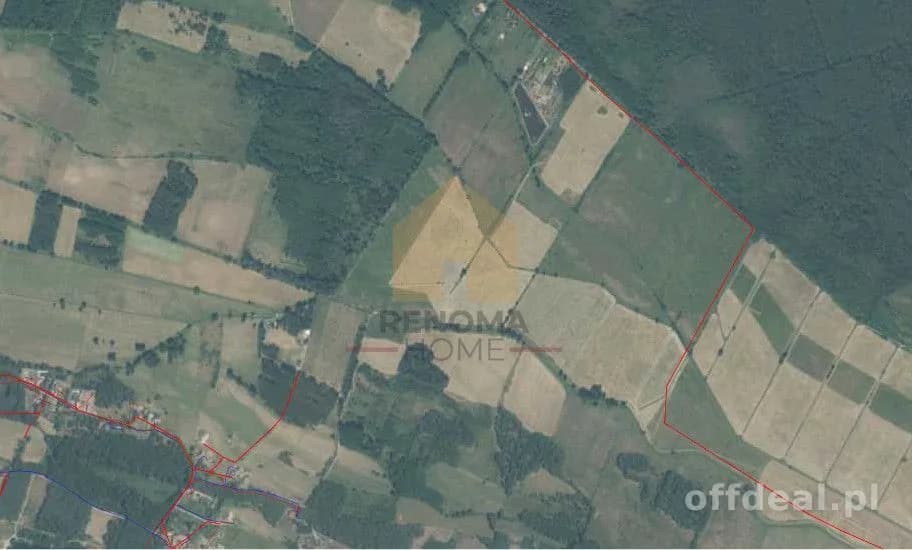 terrain à vendre à Michałów | 6 222 m²