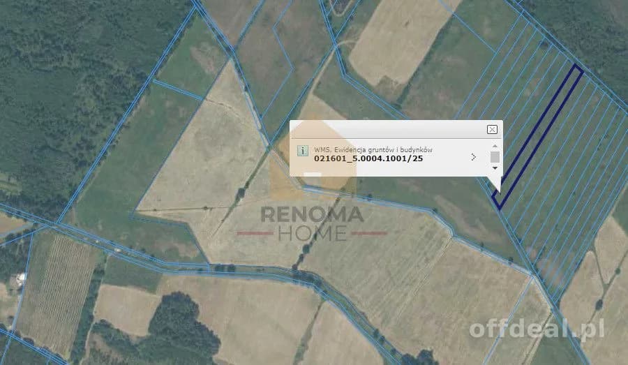 terrain à vendre à Michałów | 6 222 m²