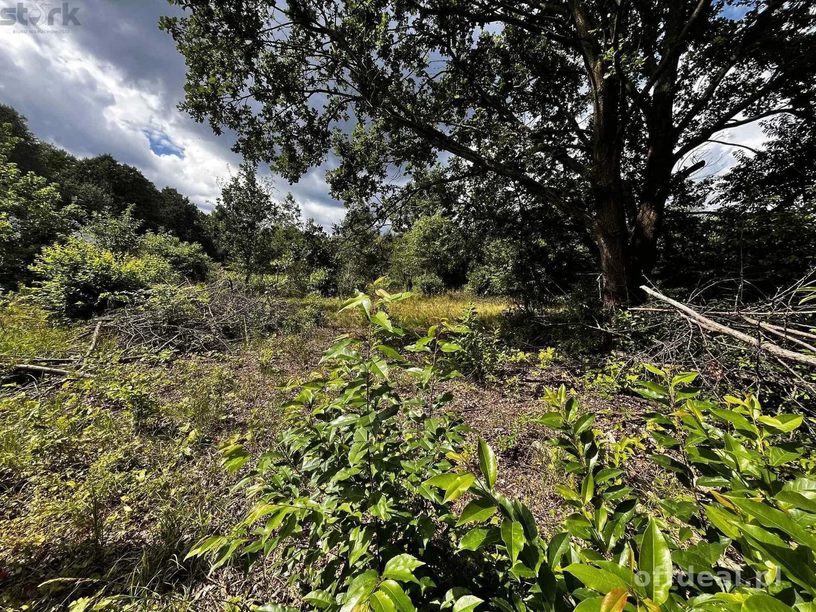 Działka 1000 m2 Henryszew z MPZP cena metra 180 zł