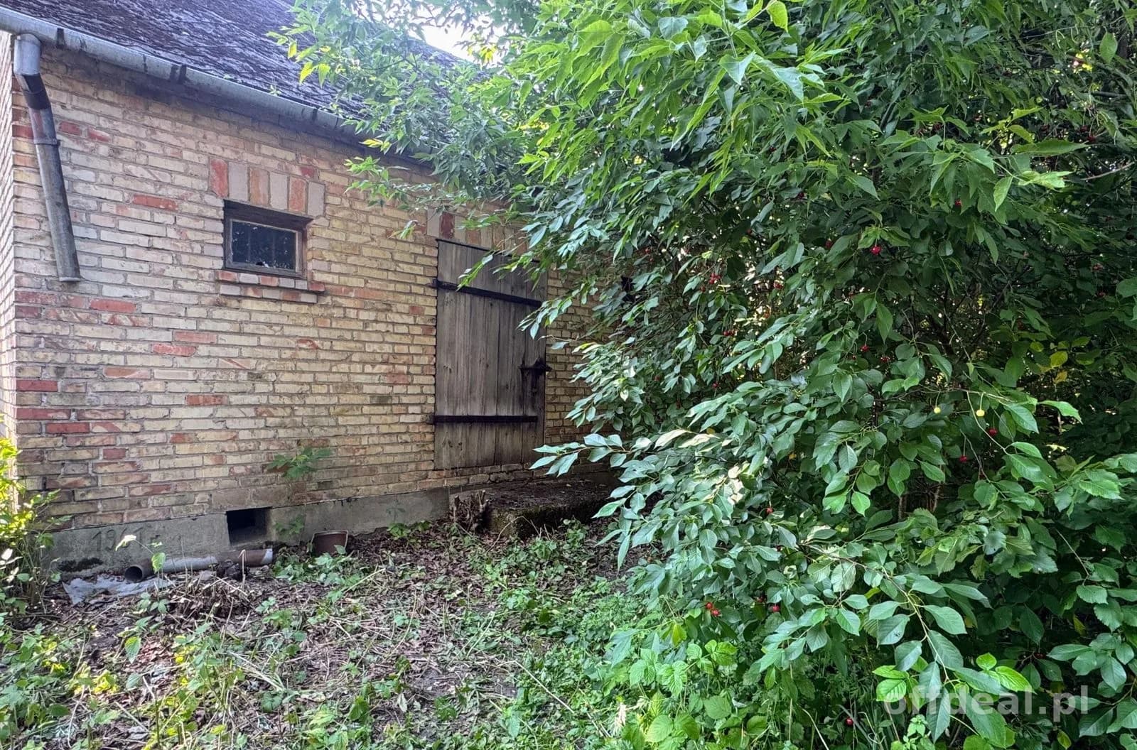 Grundstück zum Verkauf in Jabłonka-Świerczewo | 5.410 m²