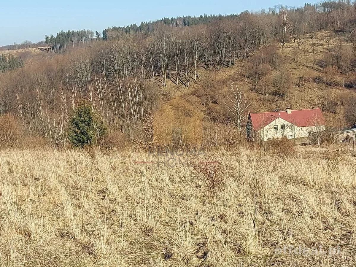 plot for sale in Niedźwiedzica | 4,335 m²