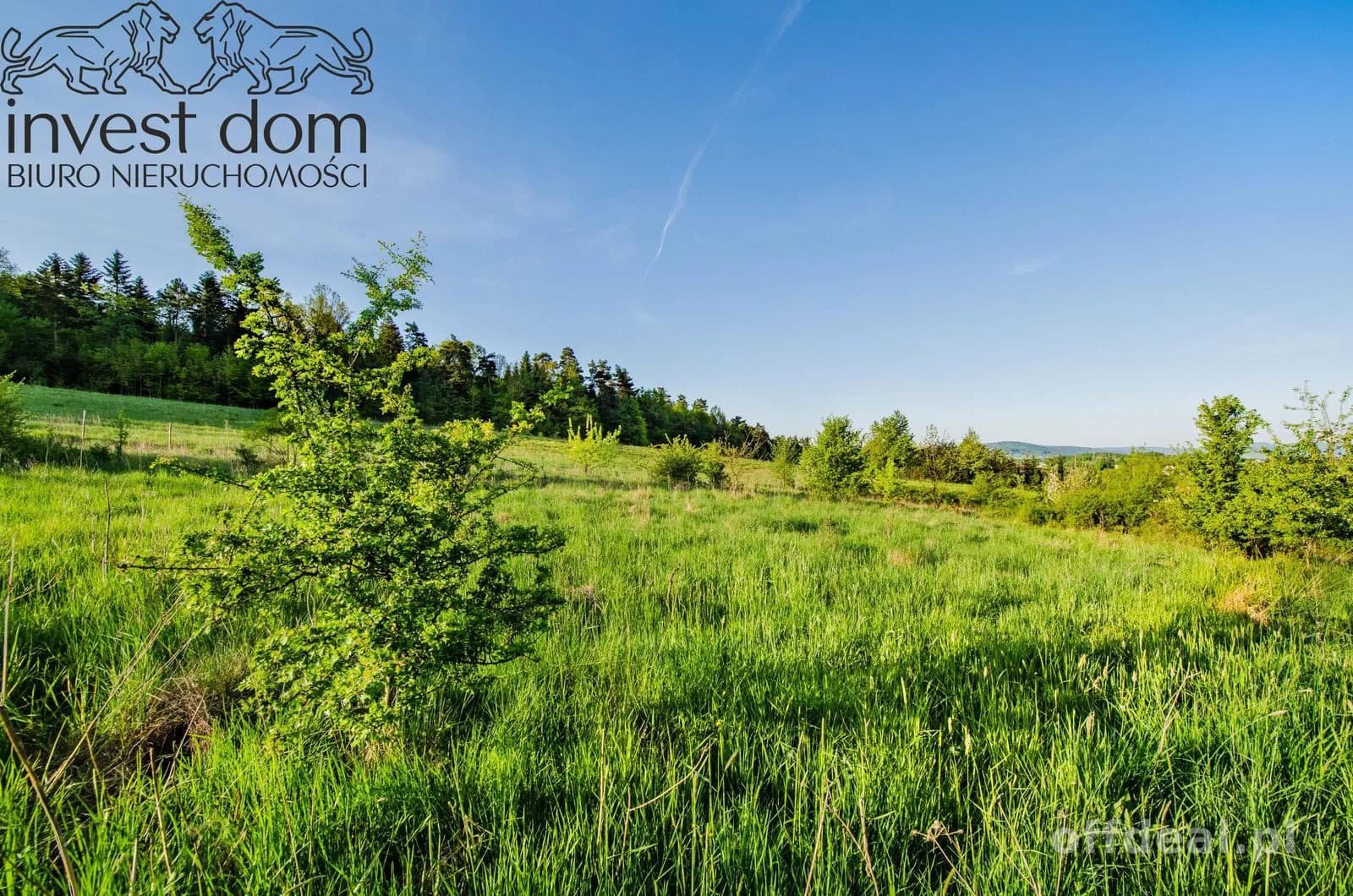 ділянка на продаж у Wójtowa | 4 351 m²