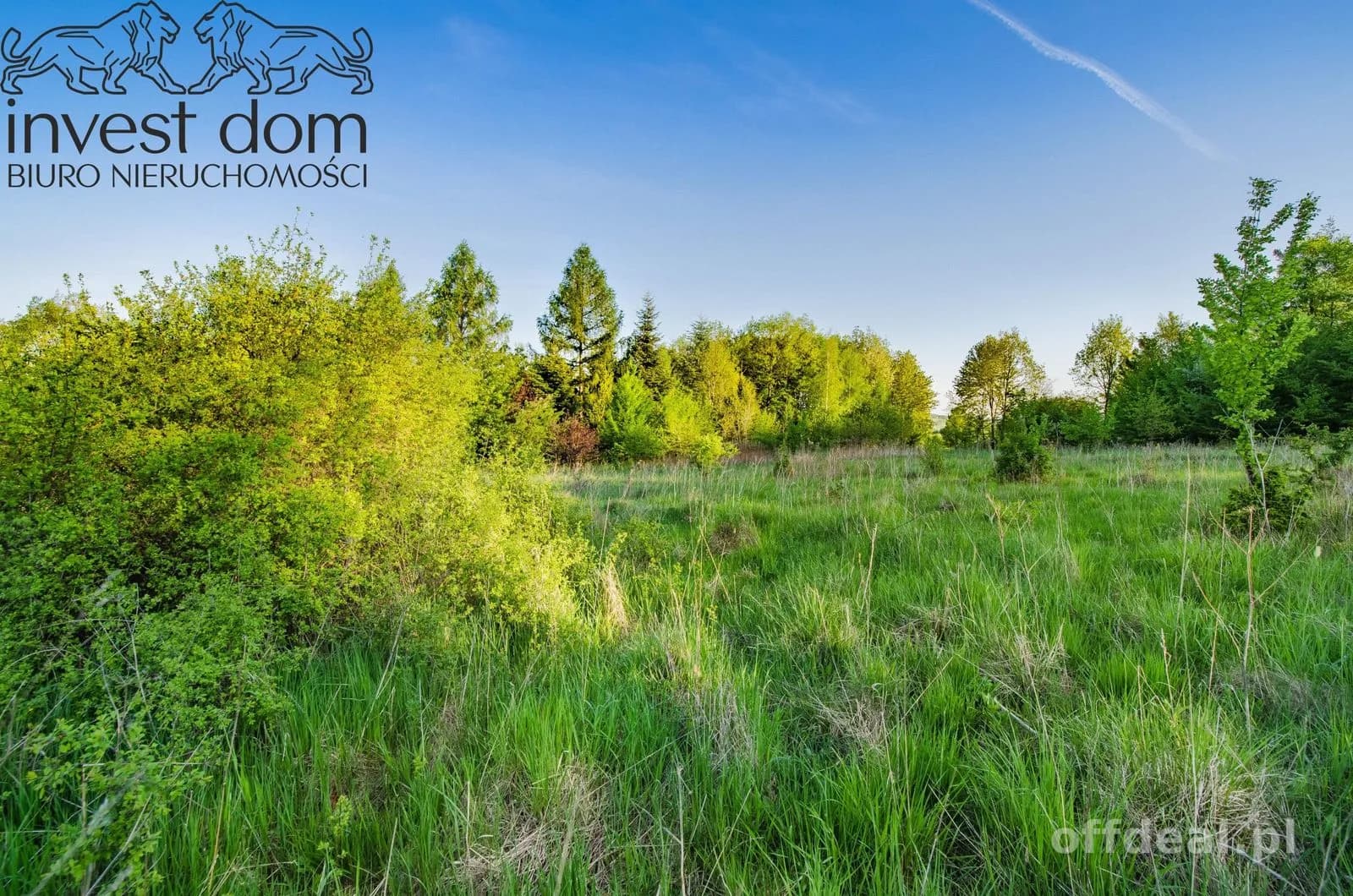 ділянка на продаж у Wójtowa | 4 351 m²