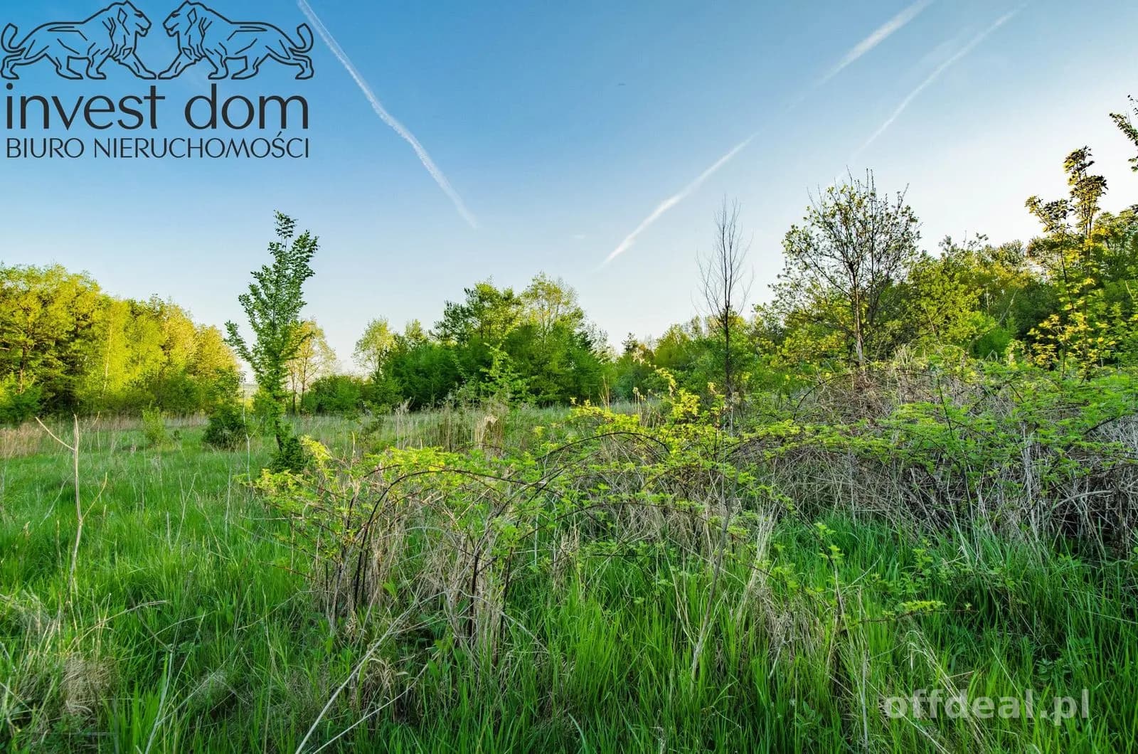 ділянка на продаж у Wójtowa | 4 351 m²