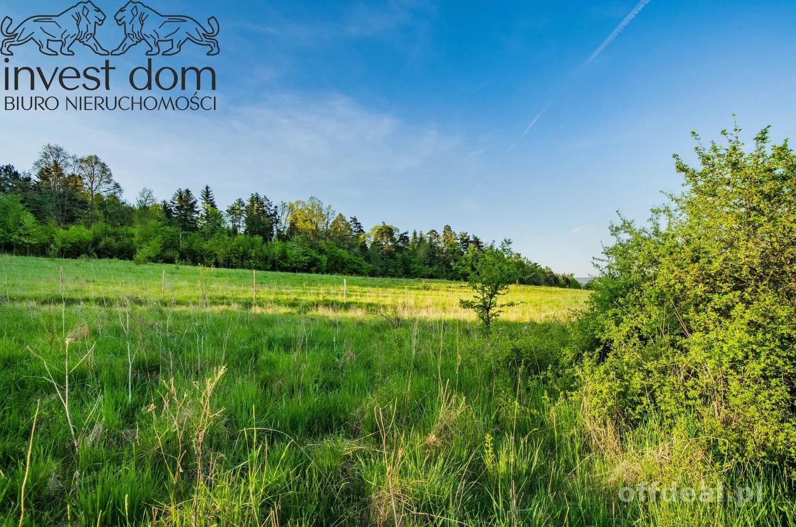 ділянка на продаж у Wójtowa | 4 351 m²