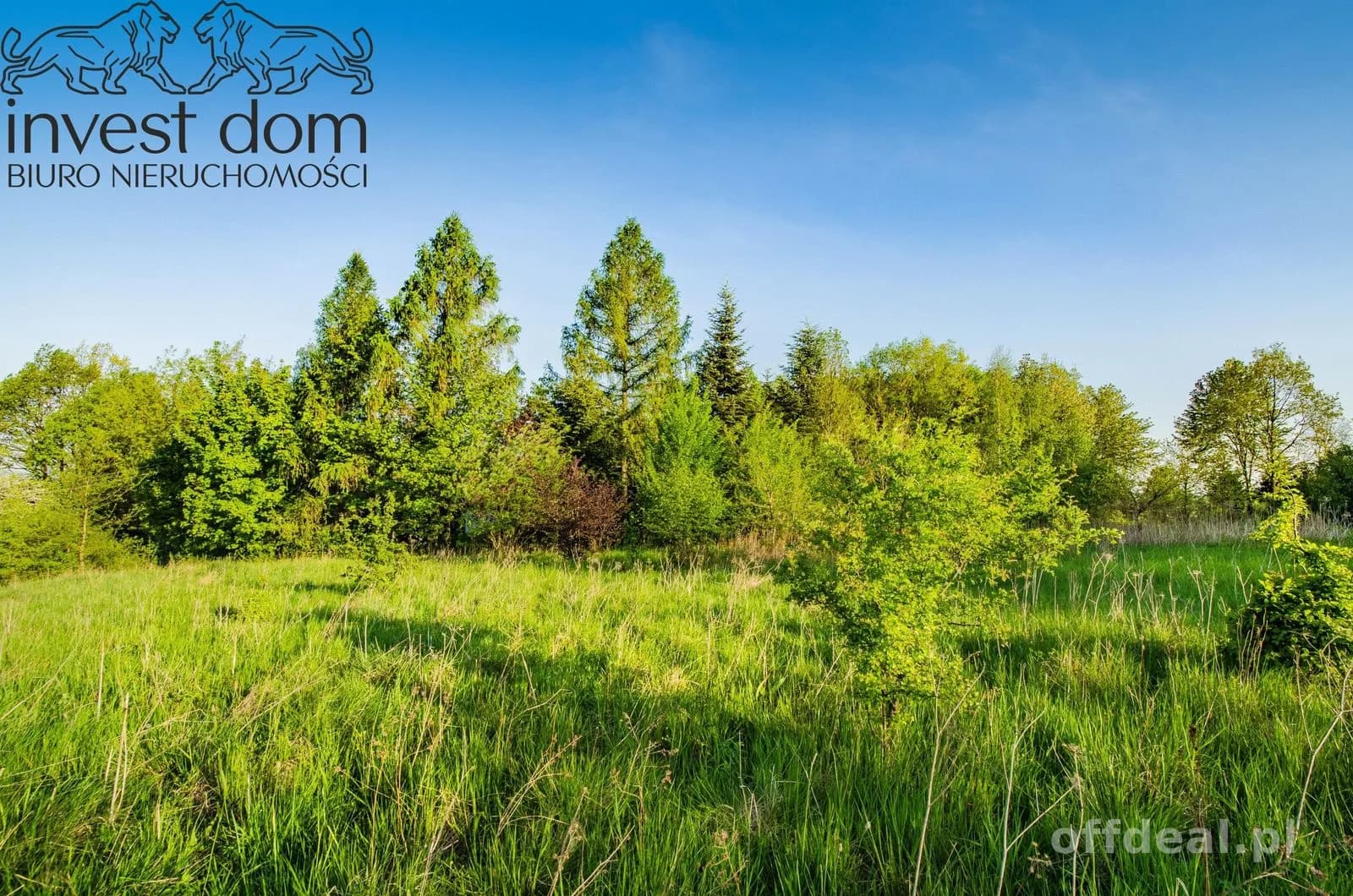 ділянка на продаж у Wójtowa | 4 351 m²