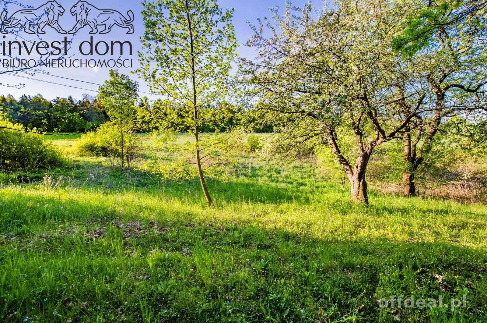 ділянка на продаж у Wójtowa | 4 351 m²