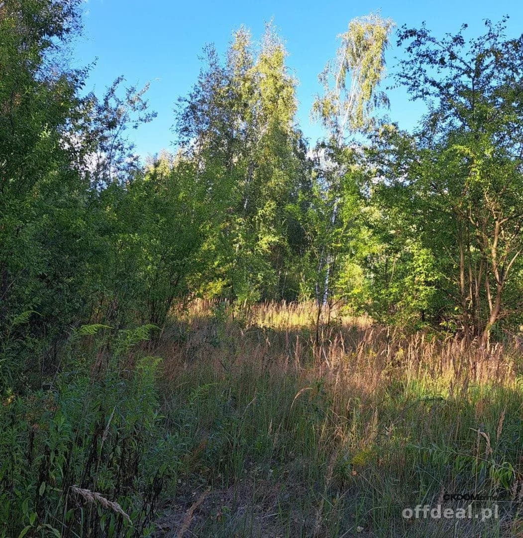 Zdjęcie 2: Działka, 3128 m², Podzamcze Piekoszowskie