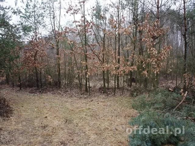 Działka na sprzedaż, Michalin
