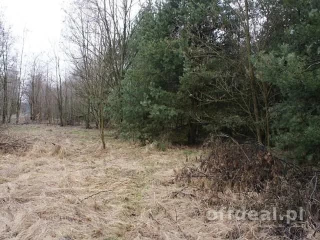 Działka na sprzedaż, Michalin