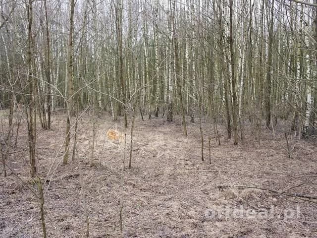 Działka na sprzedaż, Michalin