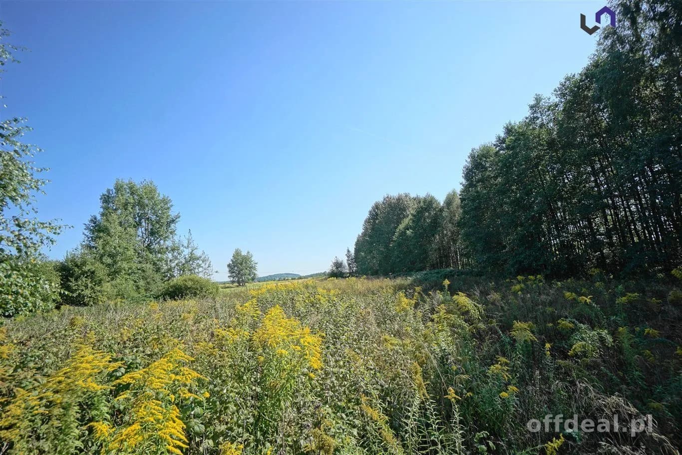 terrain à vendre à Dąbrowa Górnicza, Błędów | 4 731 m²