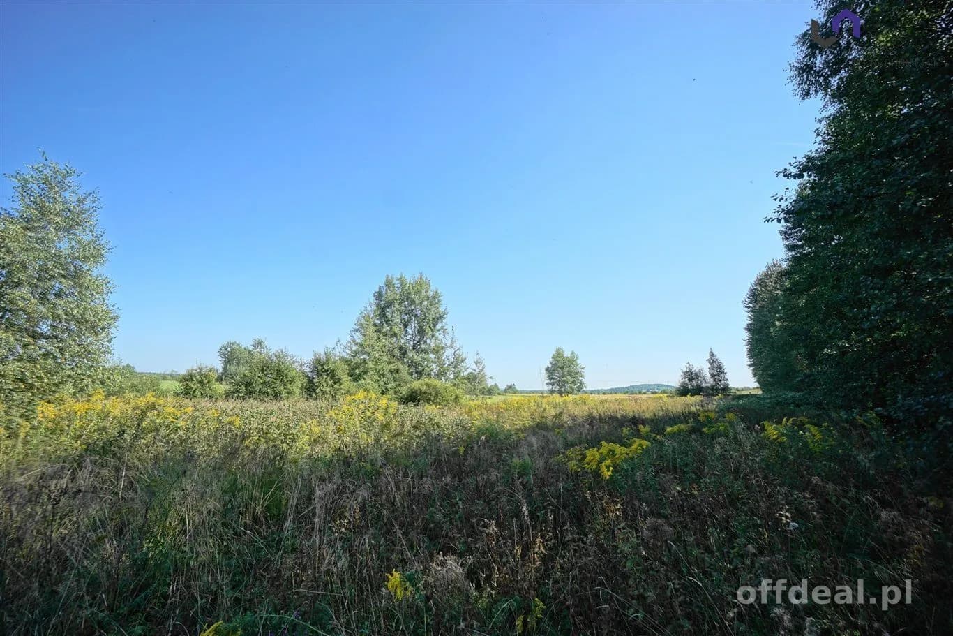 terrain à vendre à Dąbrowa Górnicza, Błędów | 4 731 m²