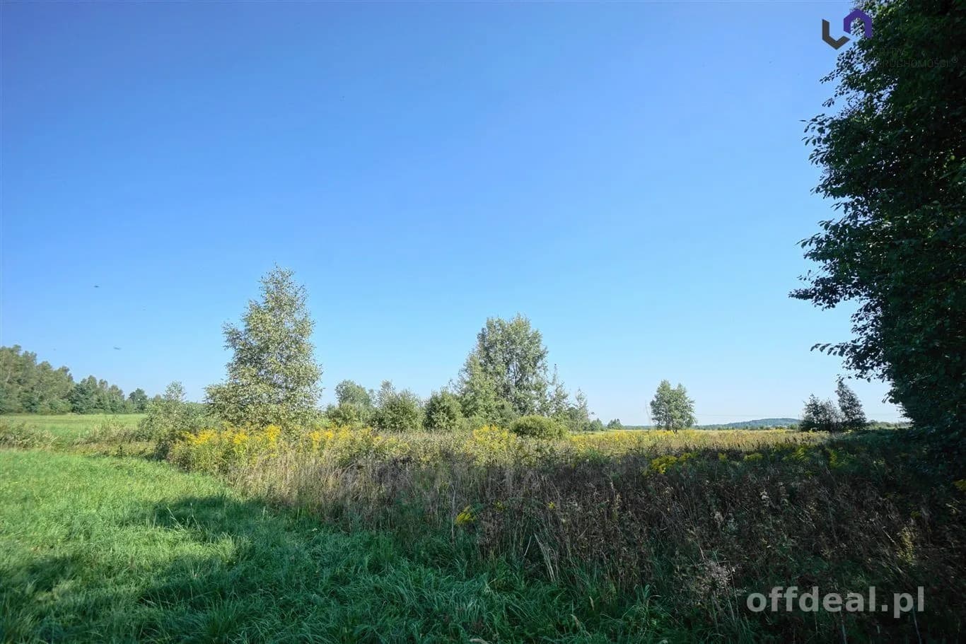 terrain à vendre à Dąbrowa Górnicza, Błędów | 4 731 m²