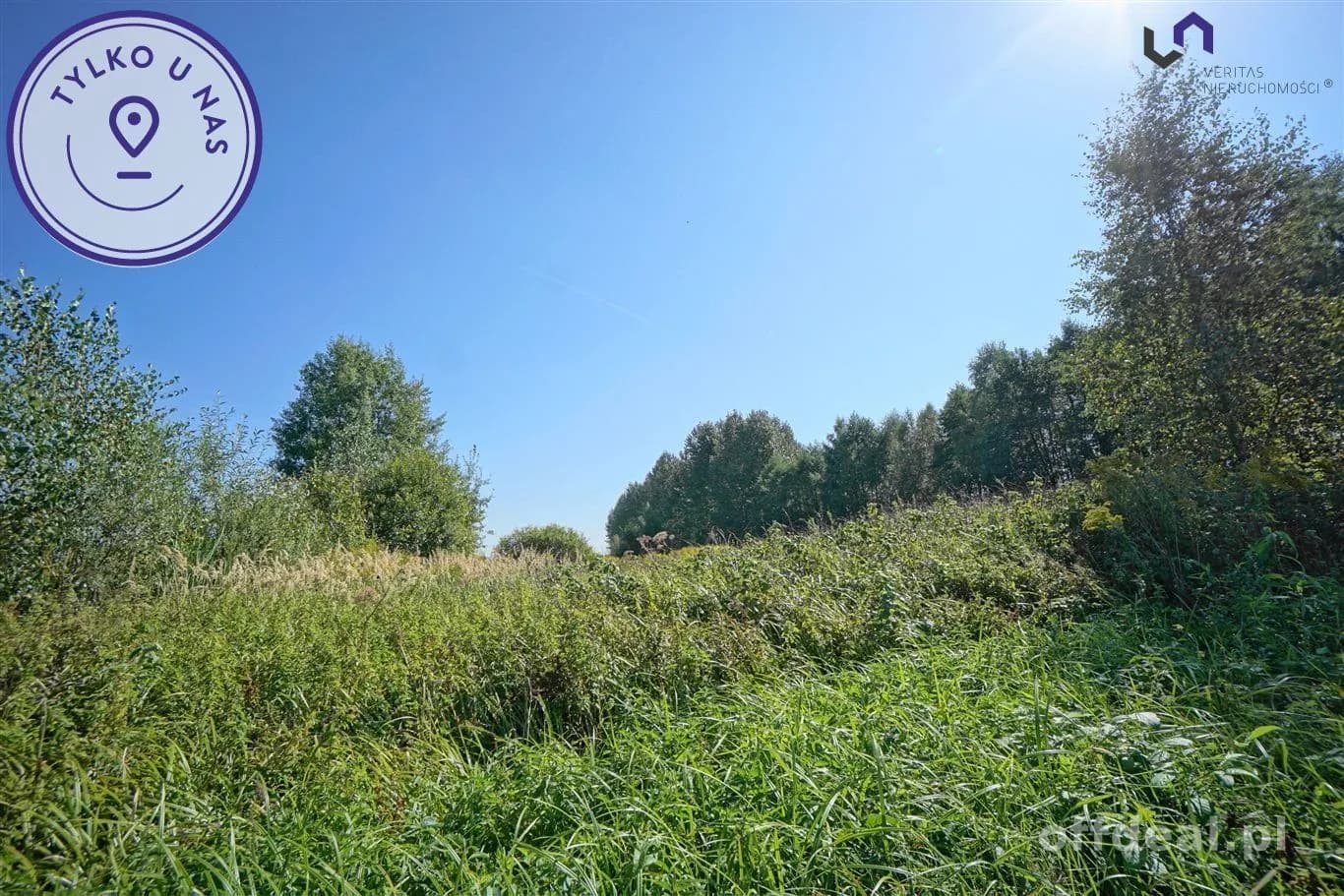 terrain à vendre à Dąbrowa Górnicza, Błędów | 4 731 m²