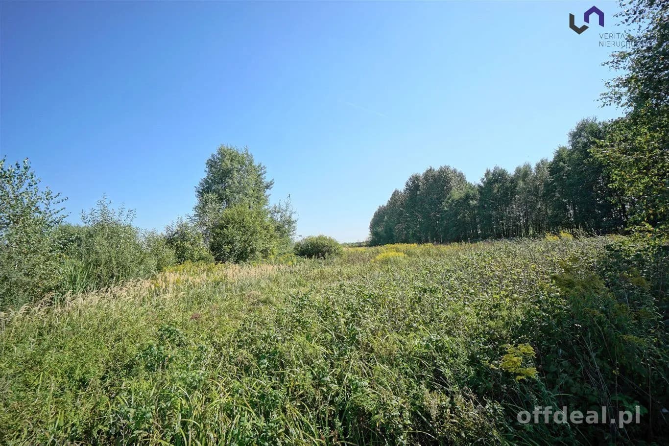 terrain à vendre à Dąbrowa Górnicza, Błędów | 4 731 m²