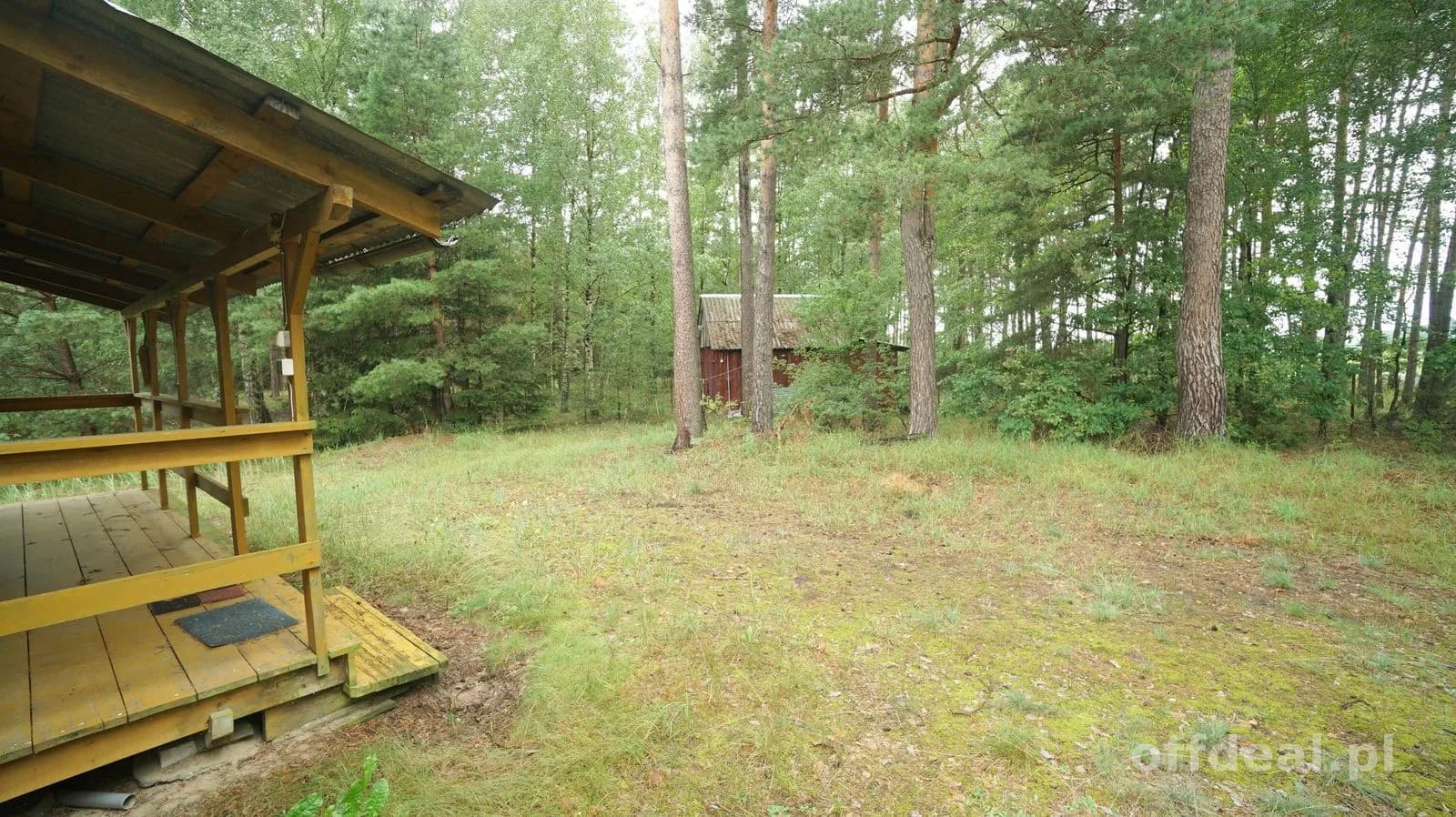 Zielona enklawa w otulinie lasów