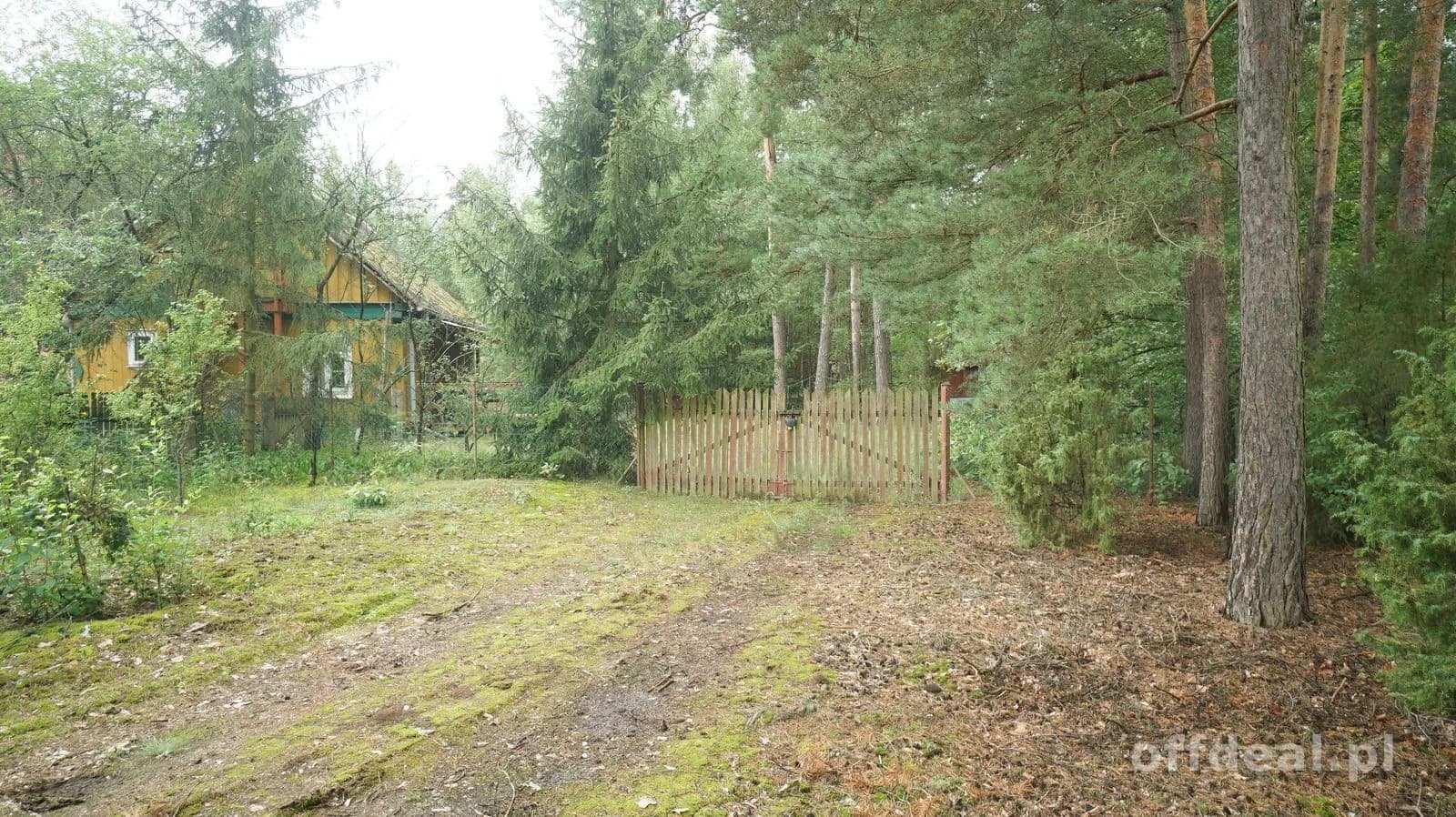 Zielona enklawa w otulinie lasów