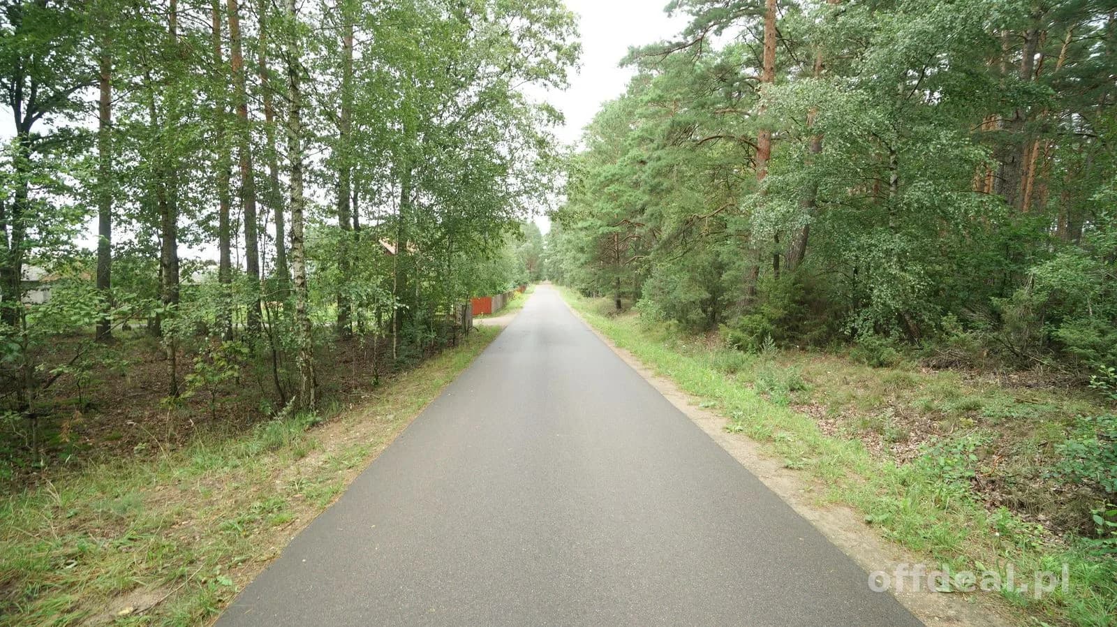 Zielona enklawa w otulinie lasów