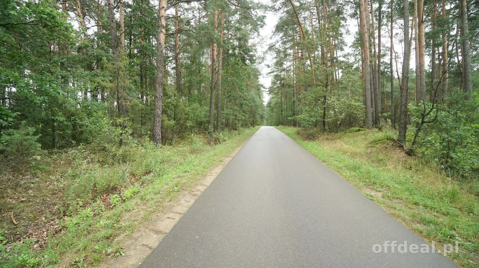Zielona enklawa w otulinie lasów