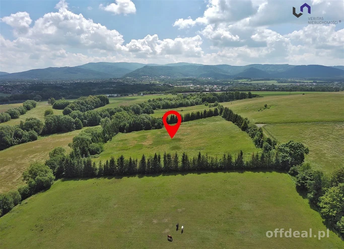 Zdjęcie 11: Działka, 25860 m², Międzyrzecze Górne