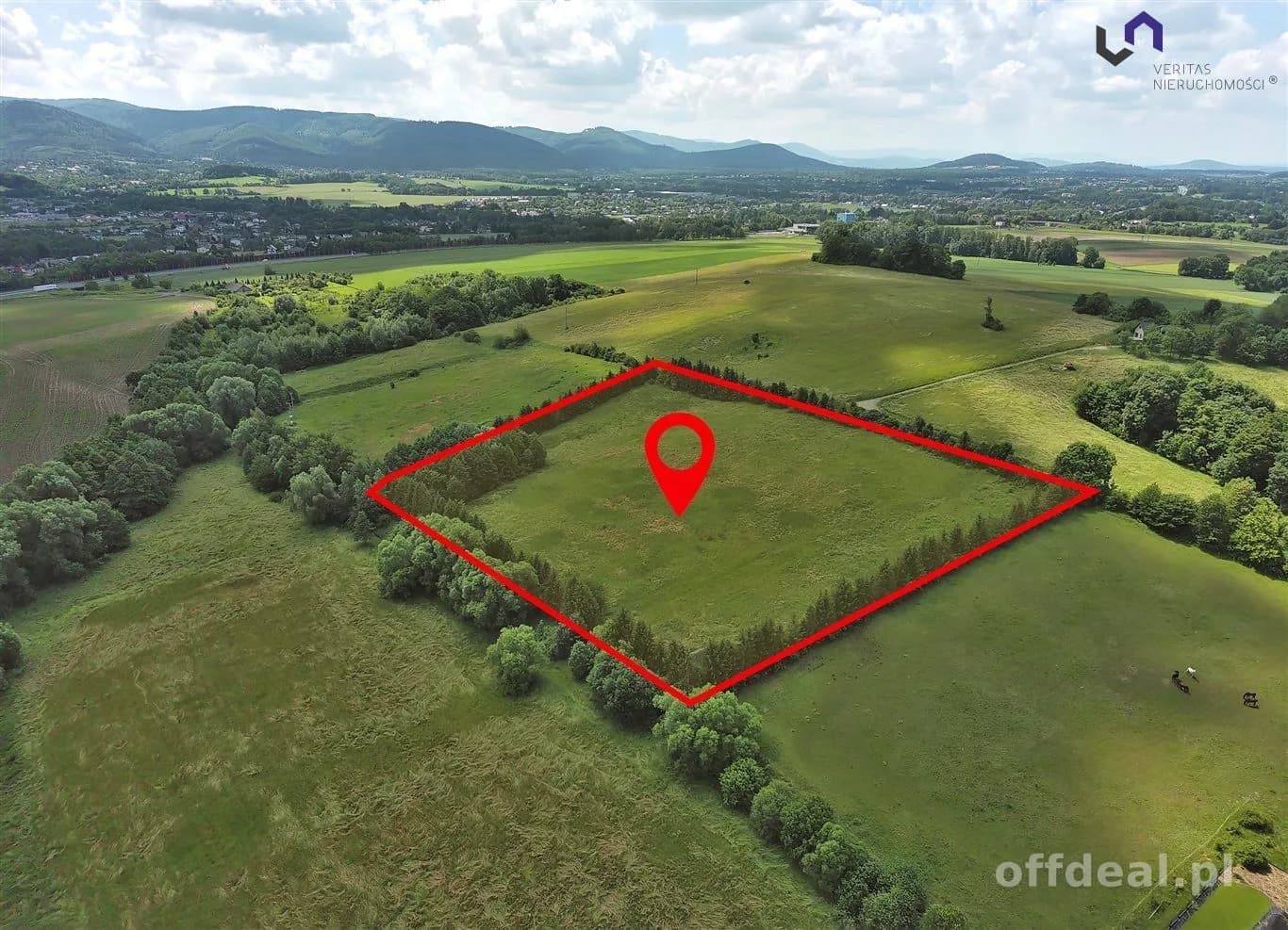 Zdjęcie 9: Działka, 25860 m², Międzyrzecze Górne