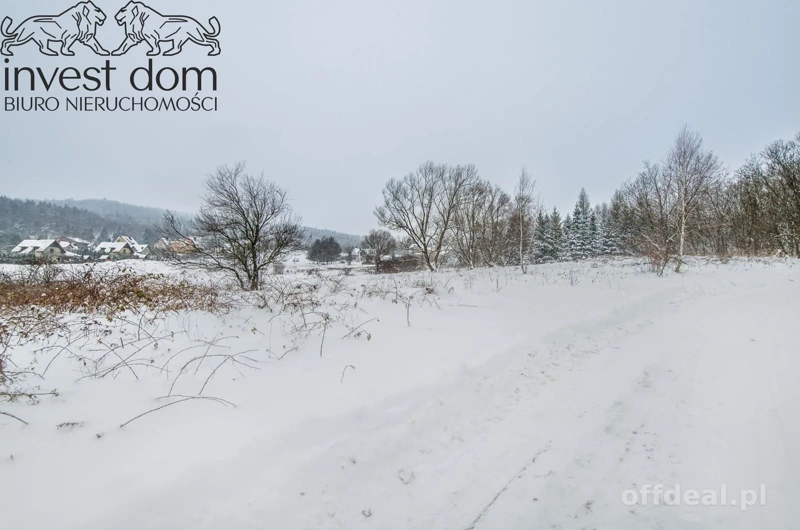 ділянка на продаж у Wysowa-Zdrój | 1 300 m²