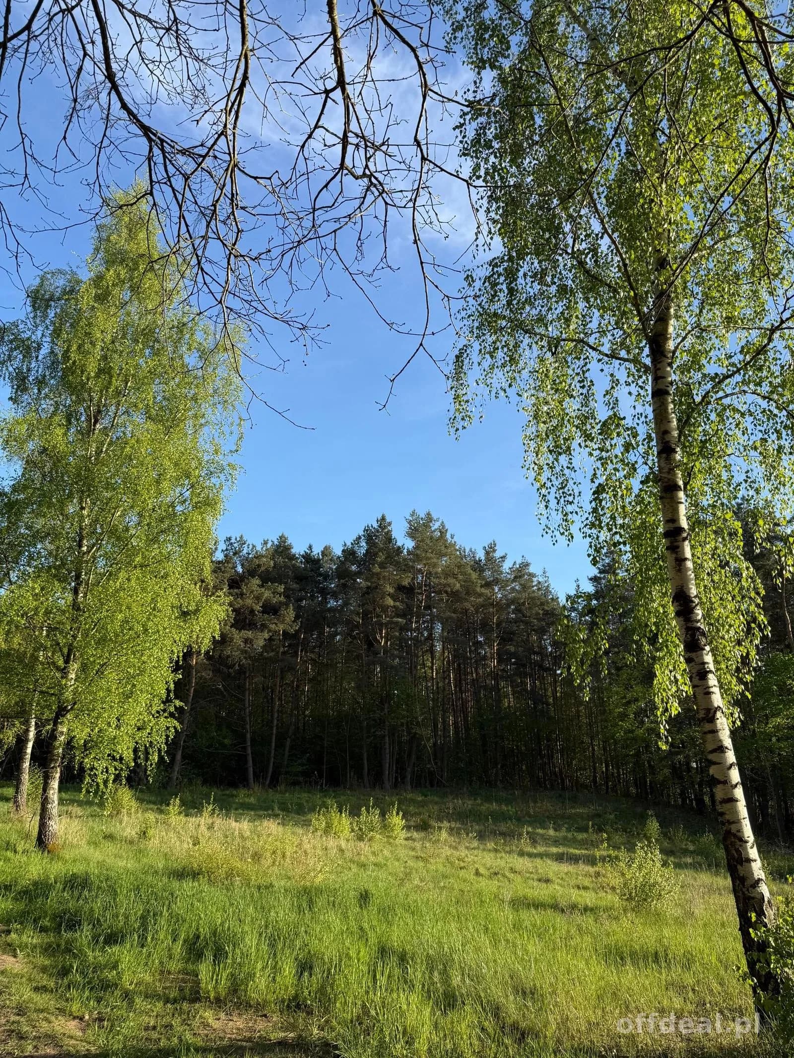 Nowe Drawsko , 250 m do Jeziora . Działka budowlana o pow. 2367 m2