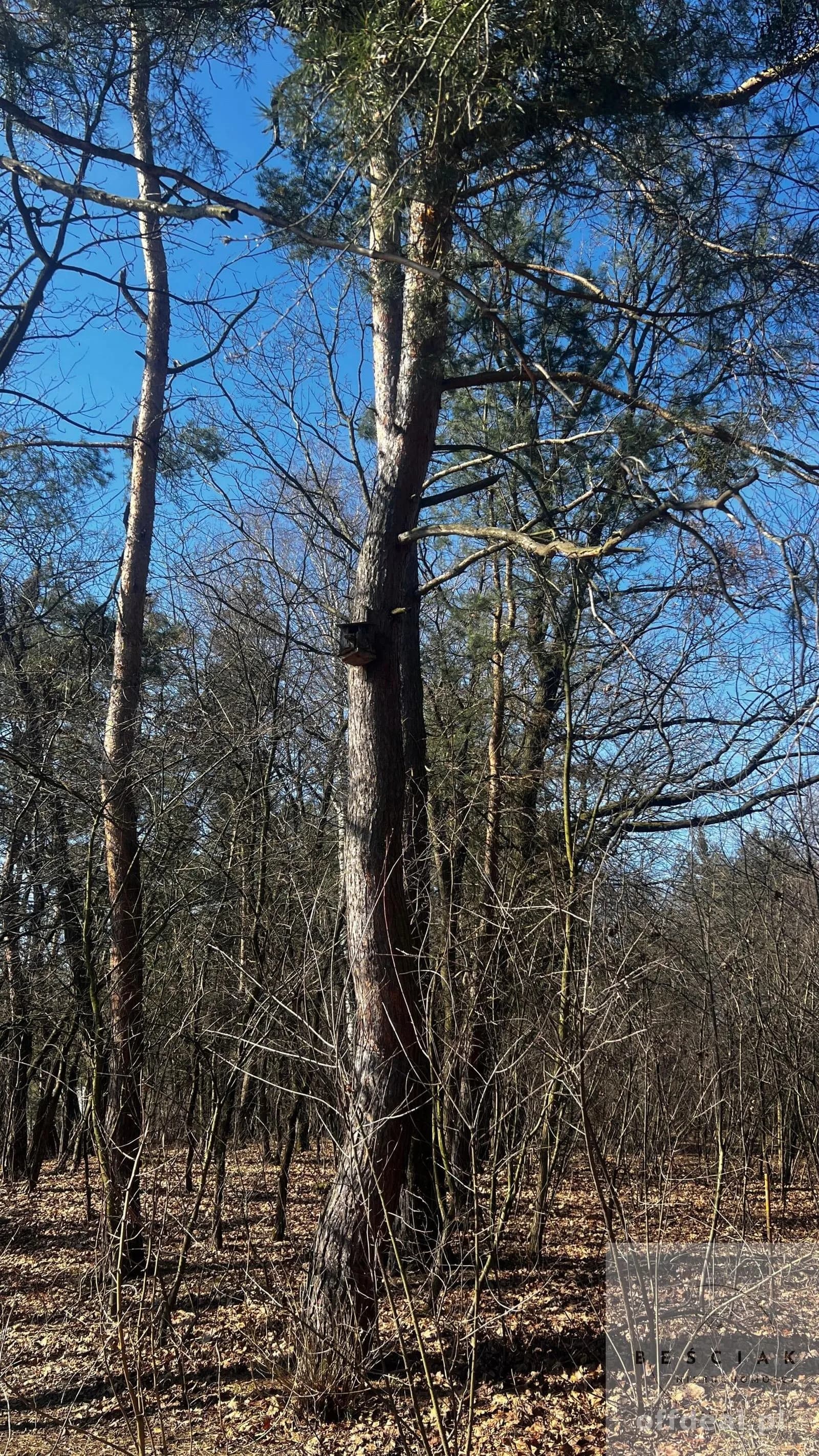 terrain à vendre à Łętowice | 900 m²