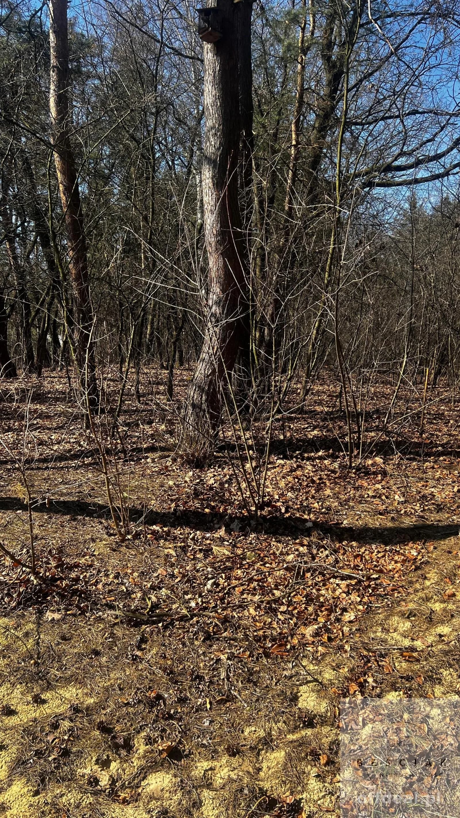 terrain à vendre à Łętowice | 900 m²