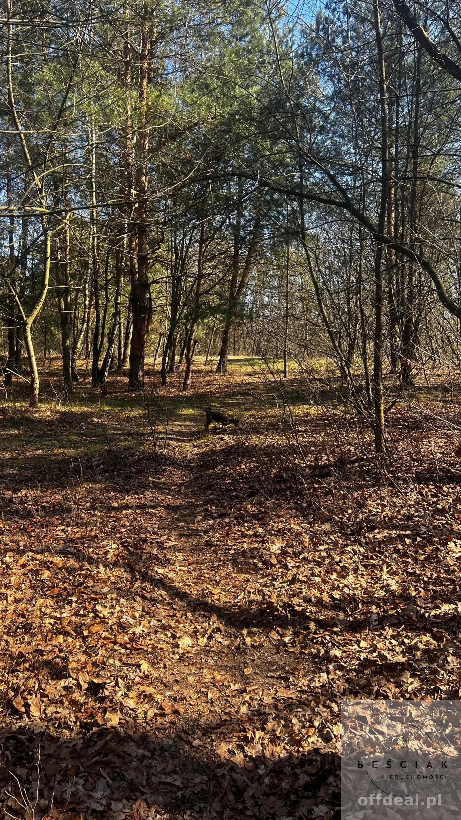 terrain à vendre à Łętowice | 900 m²