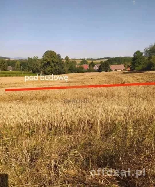plot for sale in Kamieniec Ząbkowicki | 10,100 m²
