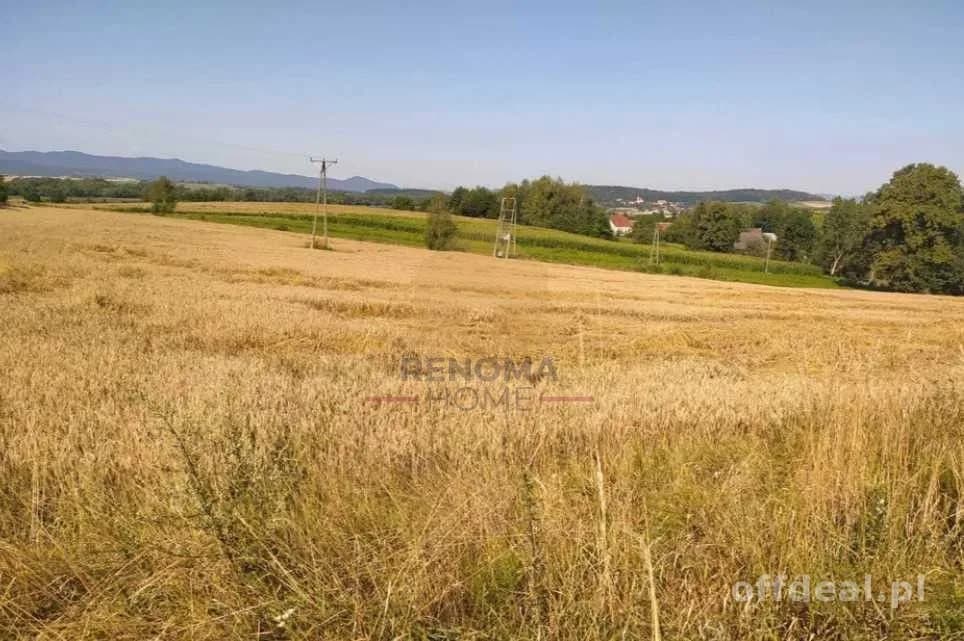 plot for sale in Kamieniec Ząbkowicki | 10,100 m²